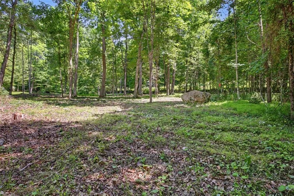 Lot 50 Donald Ross TRL, HOT SPRINGS VA 24445 thumb 6