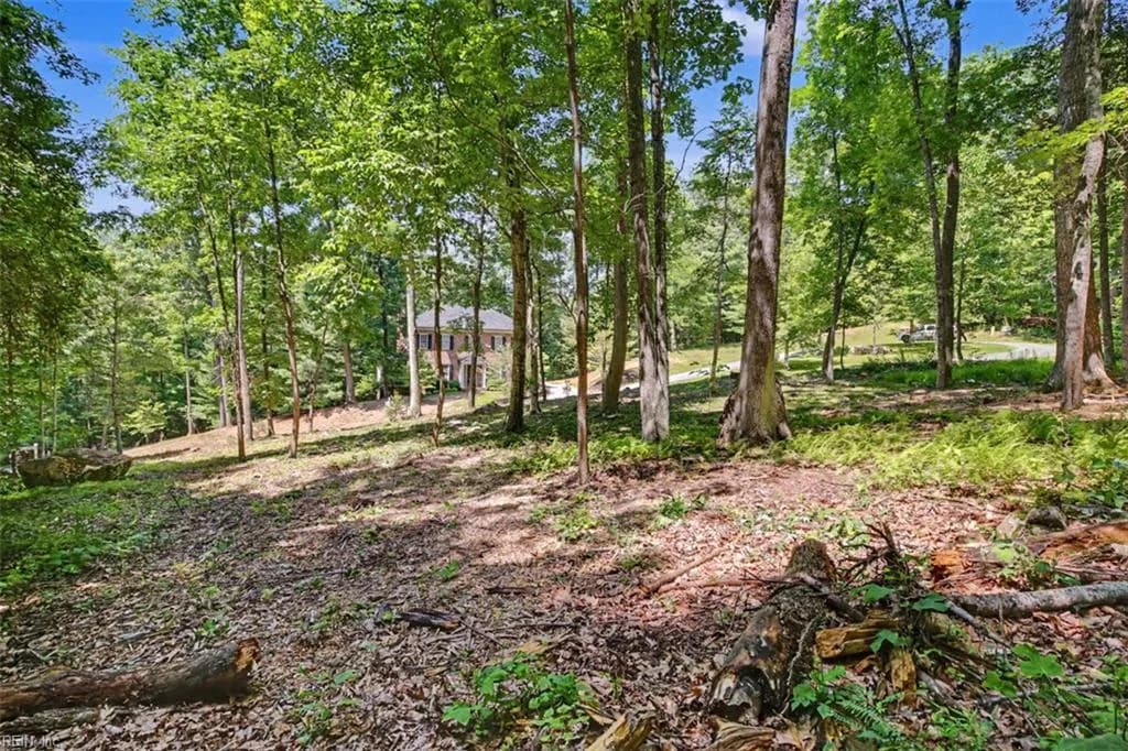 Lot 50 Donald Ross TRL, HOT SPRINGS VA 24445 thumb 7
