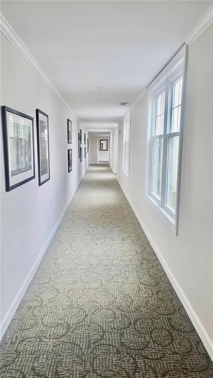 239 Duke ST #305, NORFOLK VA 23510 thumb 6