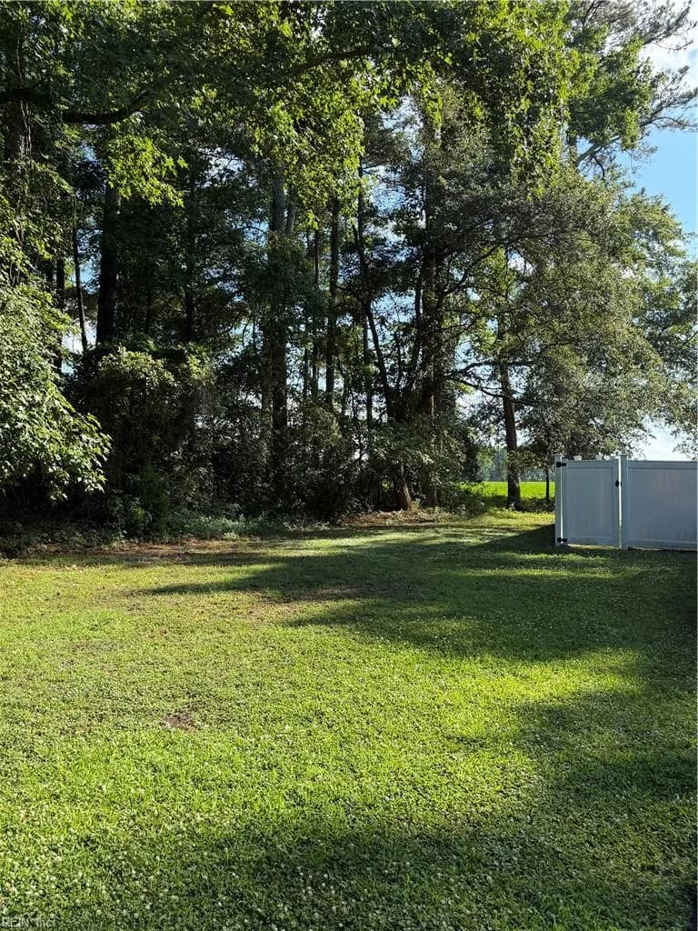 31397 Lelia LN, CARRSVILLE VA 23315 thumb 12