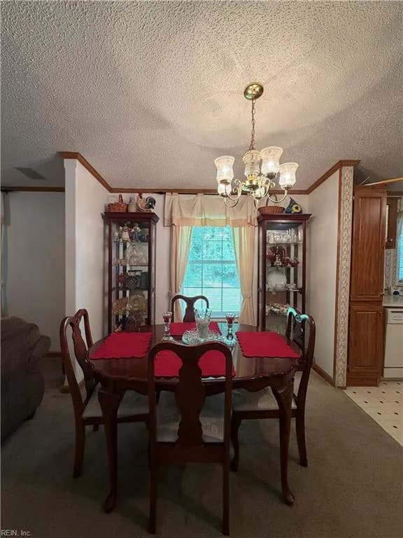 31397 Lelia LN, CARRSVILLE VA 23315 thumb 9