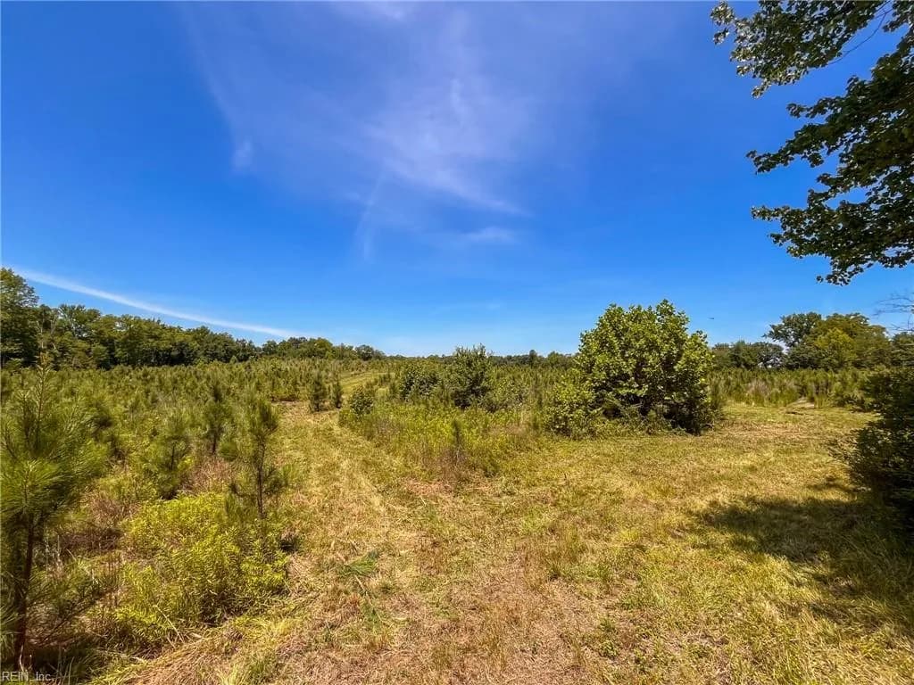 43 AC Spring Church RD, EMPORIA VA 23847 thumb 8