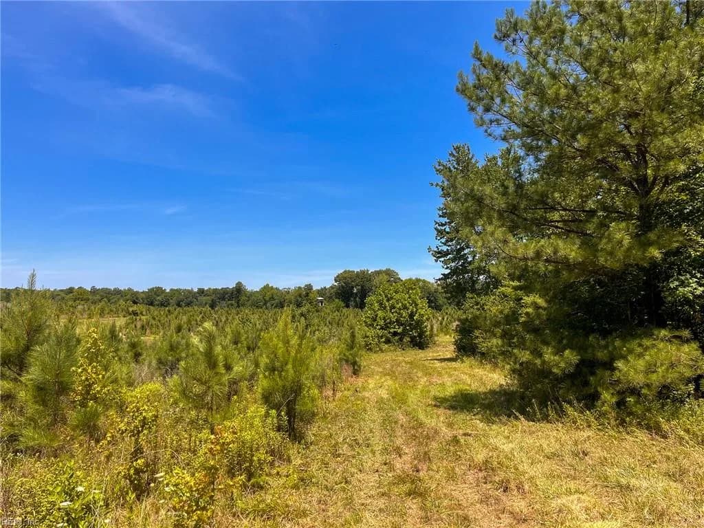 43 AC Spring Church RD, EMPORIA VA 23847 thumb 9