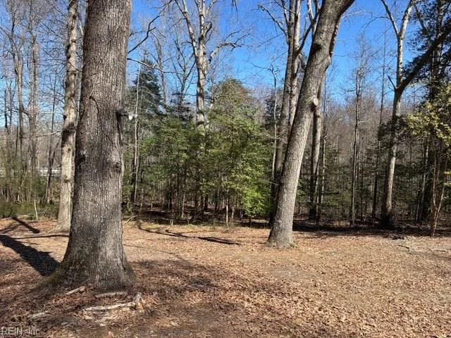 16426 Southampton PW, CAPRON VA 23829 thumb 11