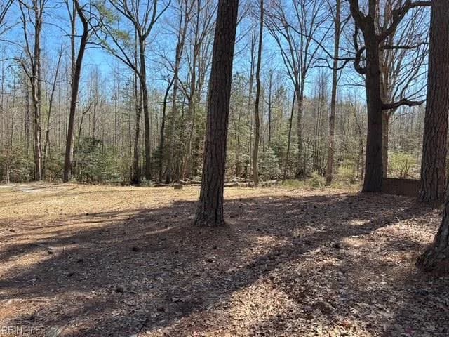 16426 Southampton PW, CAPRON VA 23829 thumb 6