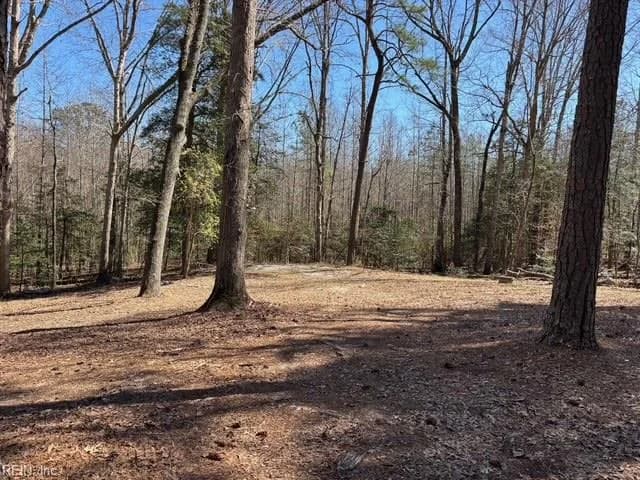 16426 Southampton PW, CAPRON VA 23829 thumb 7