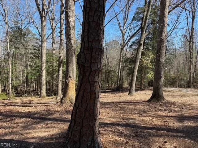 16426 Southampton PW, CAPRON VA 23829 thumb 8