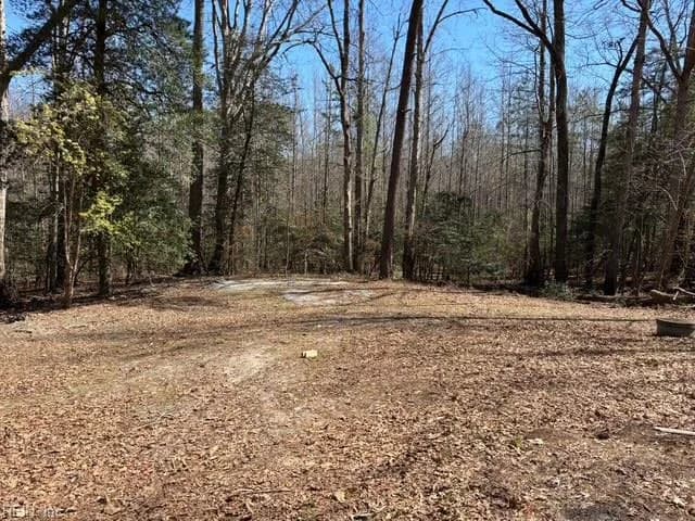 16426 Southampton PW, CAPRON VA 23829 thumb 9