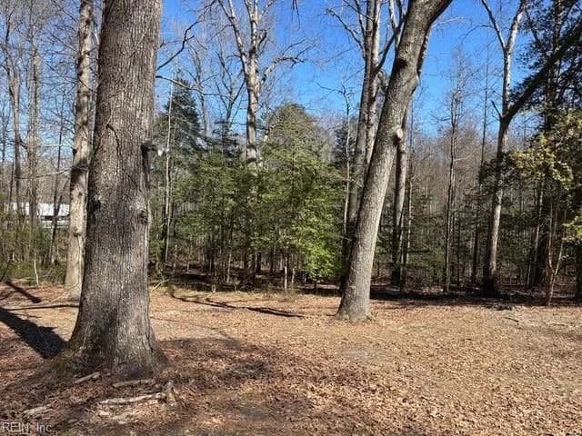 16426 Southampton PW, CAPRON VA 23829 thumb 10