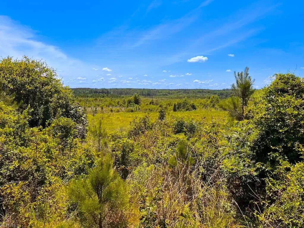 229 AC Moores Ferry RD, EMPORIA VA 23847 thumb 12