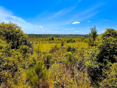 229 AC Moores Ferry RD, EMPORIA VA 23847 thumb 12