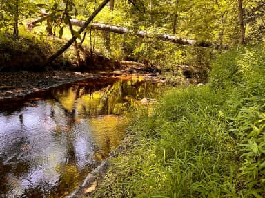 229 AC Moores Ferry RD, EMPORIA VA 23847 thumb 6