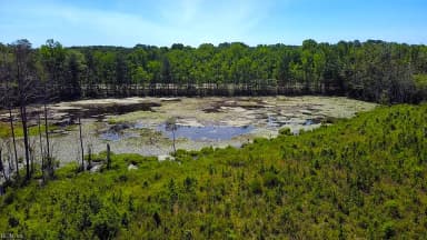 229 AC Moores Ferry RD, EMPORIA VA 23847 thumb 10