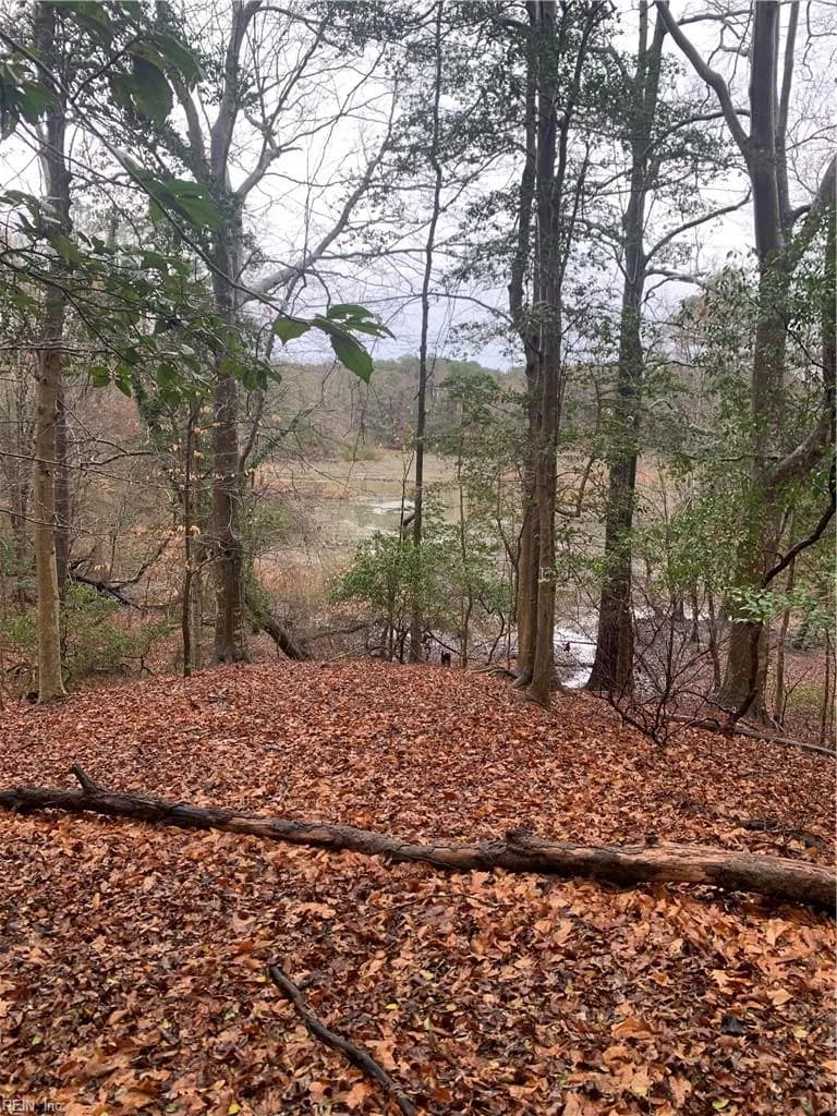 Lot 7 Mt Holly Creek LN, SMITHFIELD VA 23430 - Photo 3