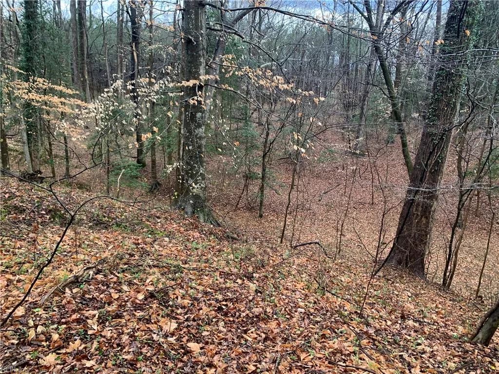 Lot 7 Mt Holly Creek LN, SMITHFIELD VA 23430 - Photo 5