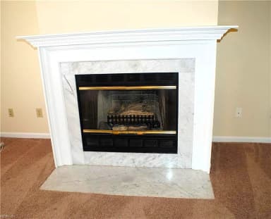 316 ESPLANADE PL, CHESAPEAKE VA 23320 thumb 9