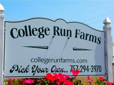 187 Highgate RD, SURRY VA 23883 thumb 6