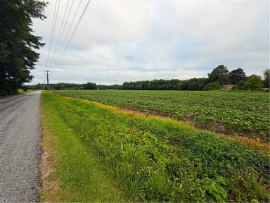 Lot 19 Longstreet LN, SUFFOLK VA 23437 thumb 12