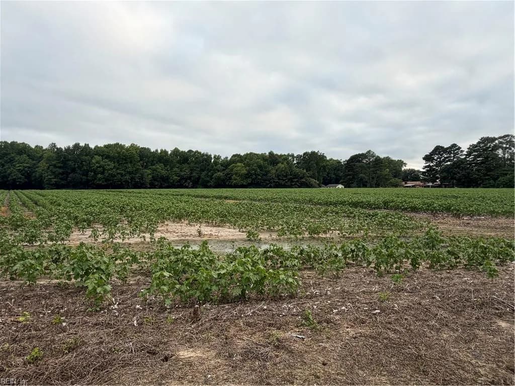 Lot 19 Longstreet LN, SUFFOLK VA 23437 thumb 8