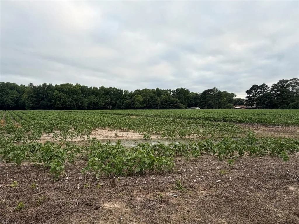 Lot 19 Longstreet LN, SUFFOLK VA 23437 thumb 9