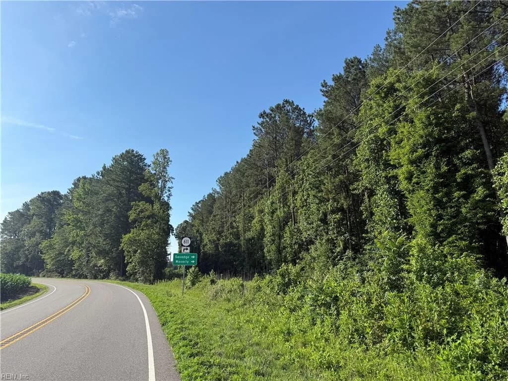 47 AC Colonial TRL W, SPRING GROVE VA 23881 thumb 6