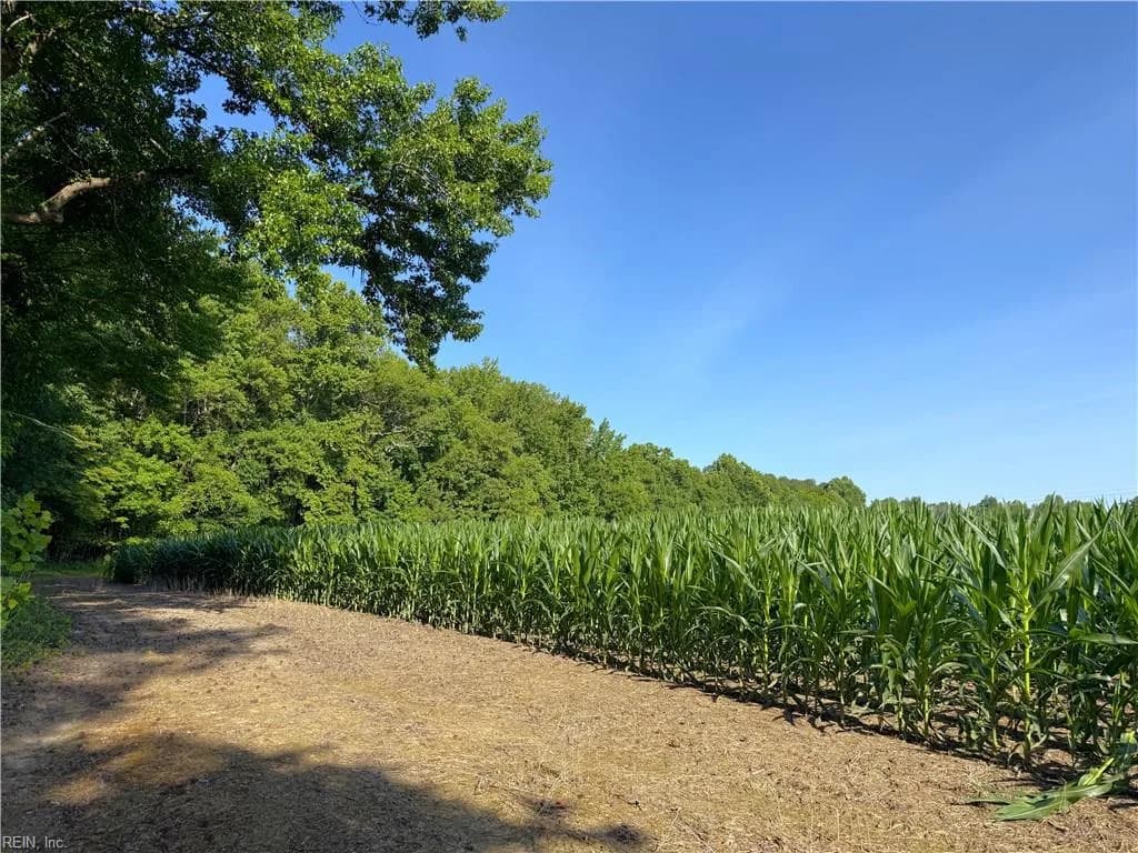47 AC Colonial TRL W, SPRING GROVE VA 23881 thumb 7