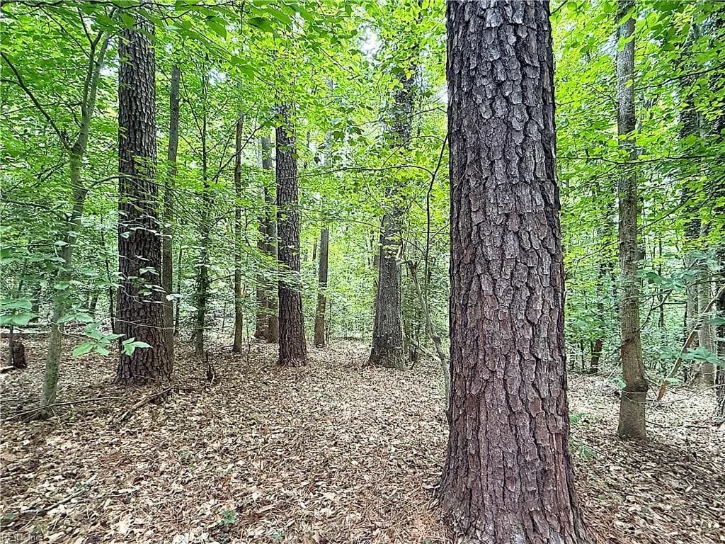 47 AC Colonial TRL W, SPRING GROVE VA 23881 thumb 9
