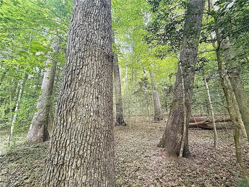 47 AC Colonial TRL W, SPRING GROVE VA 23881 thumb 10