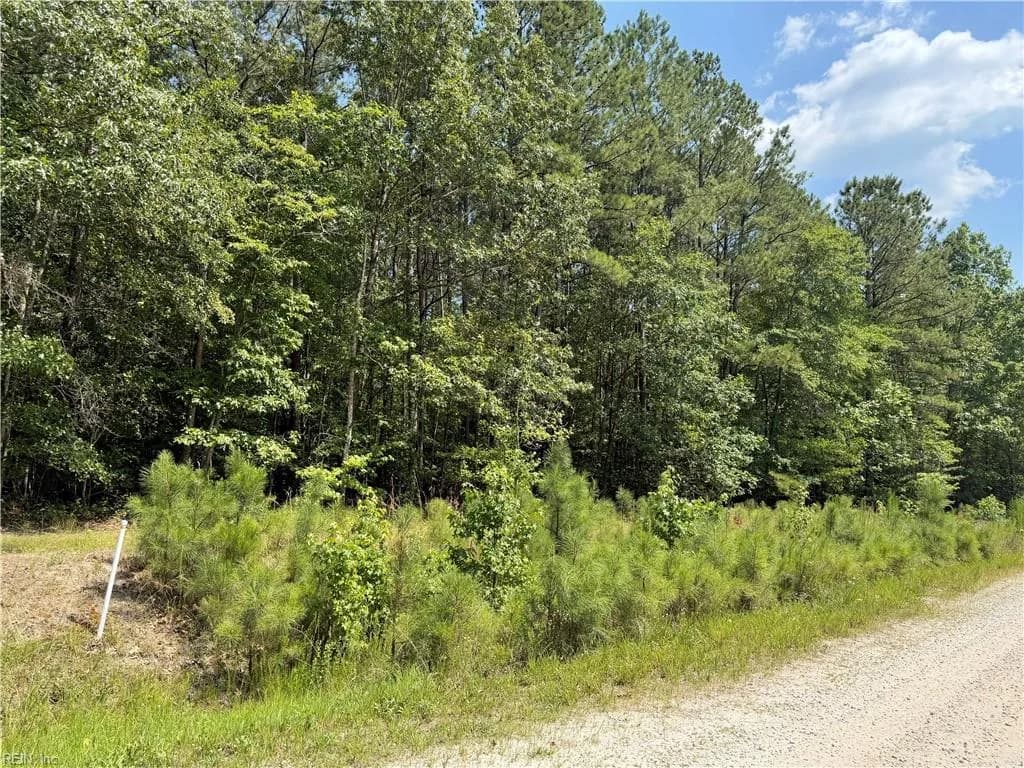 14 Fox Chase DR, DENDRON VA 23839 - Photo 2