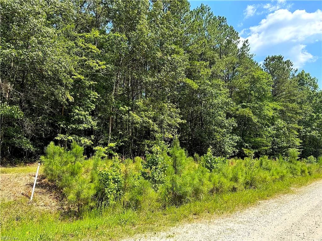 14 Fox Chase DR, DENDRON VA 23839 - Photo 3