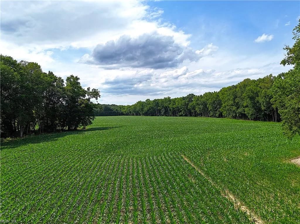 96AC White Marsh RD, ELBERON VA 23846 thumb 8