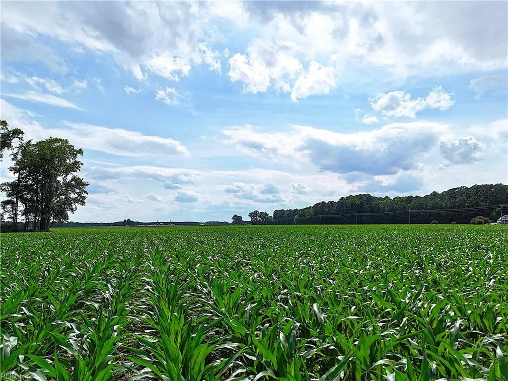96AC White Marsh RD, ELBERON VA 23846 thumb 9