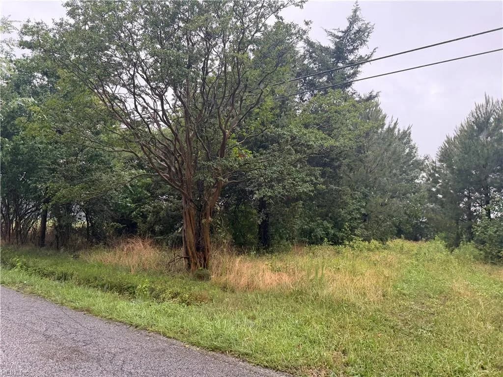 741 Manning RD, SUFFOLK VA 23434 - Photo 4
