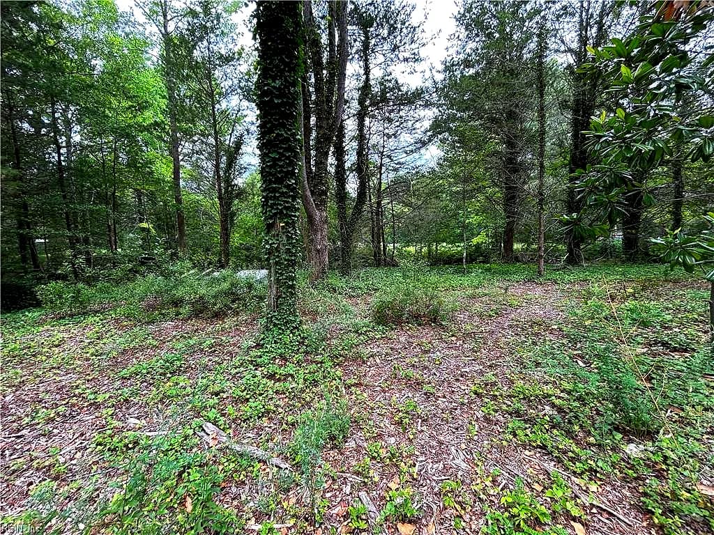 56 Mobjack LN, HAYES VA 23072 - Photo 5
