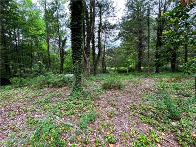 56 Mobjack LN, HAYES VA 23072 thumb 5