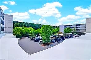 2213 William Styron S SQ, NEWPORTNEWS VA 23606 thumb 8