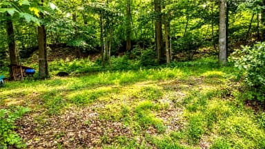 0 Haynes Pond WAY, GLOUCESTER VA 23061 thumb 9