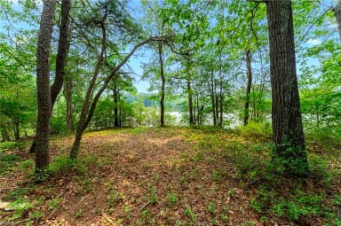 13.7ac Five Gables Woodlands NONE, GLOUCESTER VA 23061 thumb 11