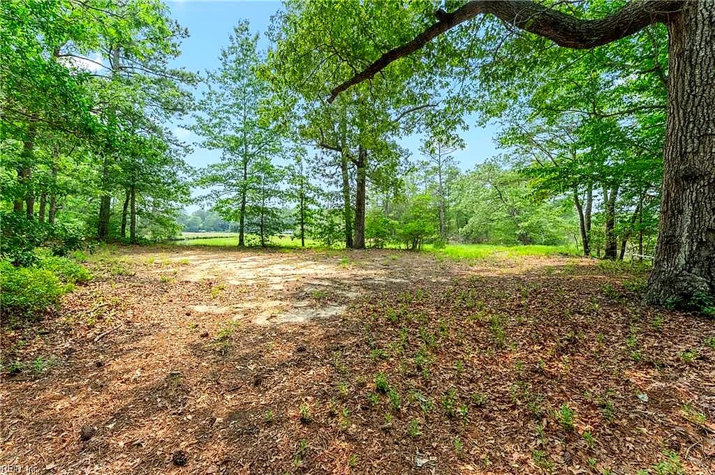 11.8ac Five Gables Woodlands NONE, GLOUCESTER VA 23061 thumb 12