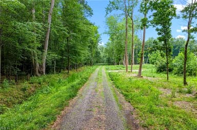 11.8ac Five Gables Woodlands NONE, GLOUCESTER VA 23061 thumb 8