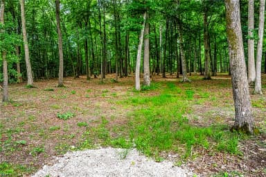 11.8ac Five Gables Woodlands NONE, GLOUCESTER VA 23061 thumb 9