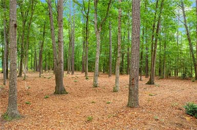 11.8ac Five Gables Woodlands NONE, GLOUCESTER VA 23061 thumb 10