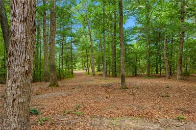 10.1ac Five Gables Woodlands NONE, GLOUCESTER VA 23061 thumb 12