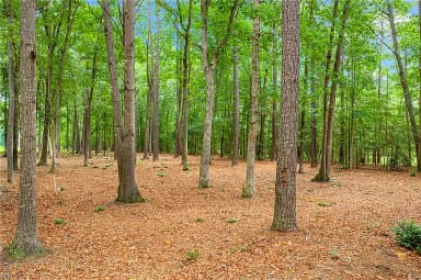 10.1ac Five Gables Woodlands NONE, GLOUCESTER VA 23061 thumb 10