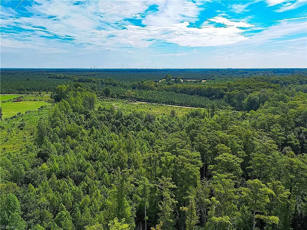 19.2Ac Hollybush RD, DENDRON VA 23839 thumb 12