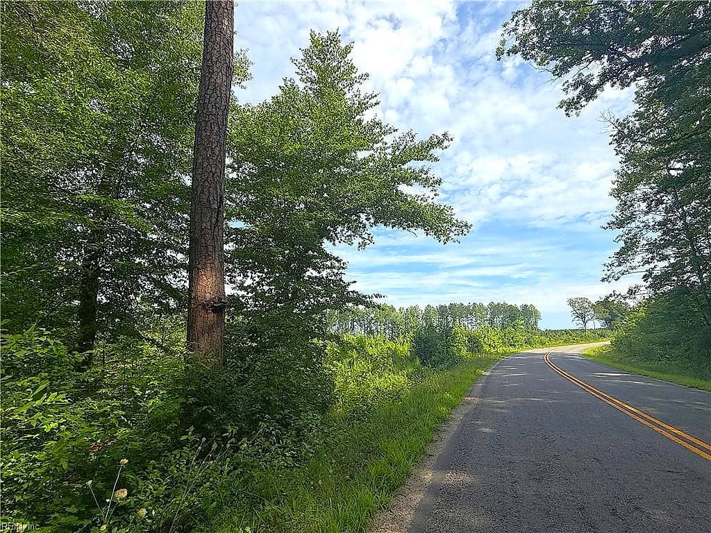 19.2Ac Hollybush RD, DENDRON VA 23839 - Photo 4