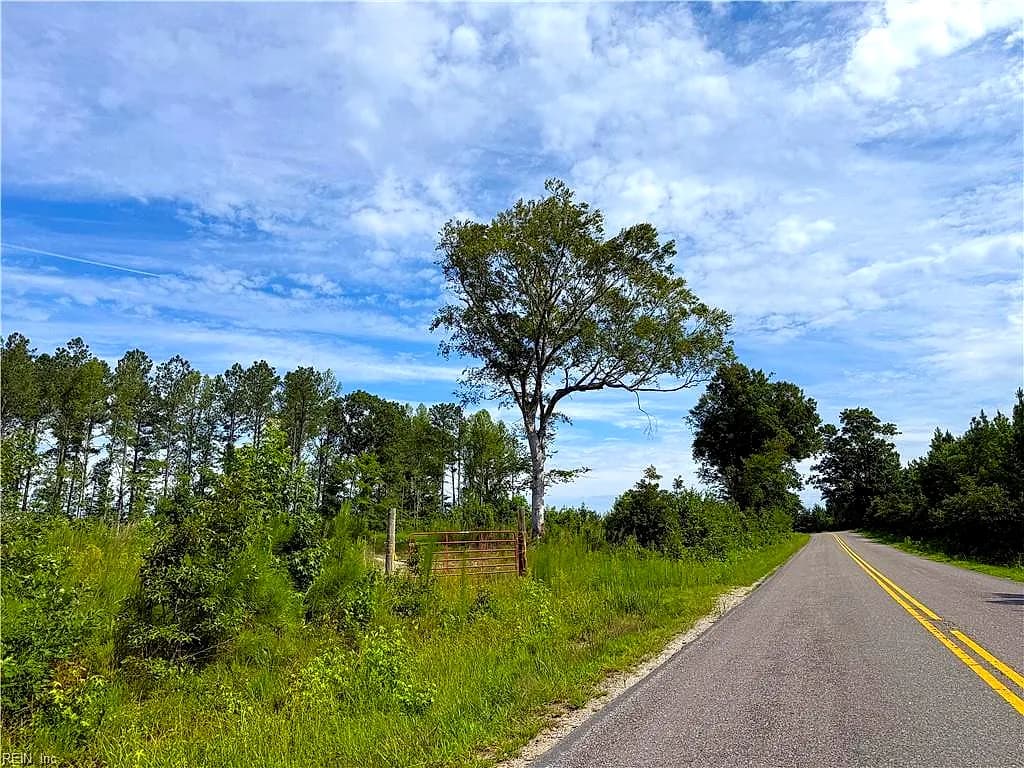 19.2Ac Hollybush RD, DENDRON VA 23839 - Photo 5