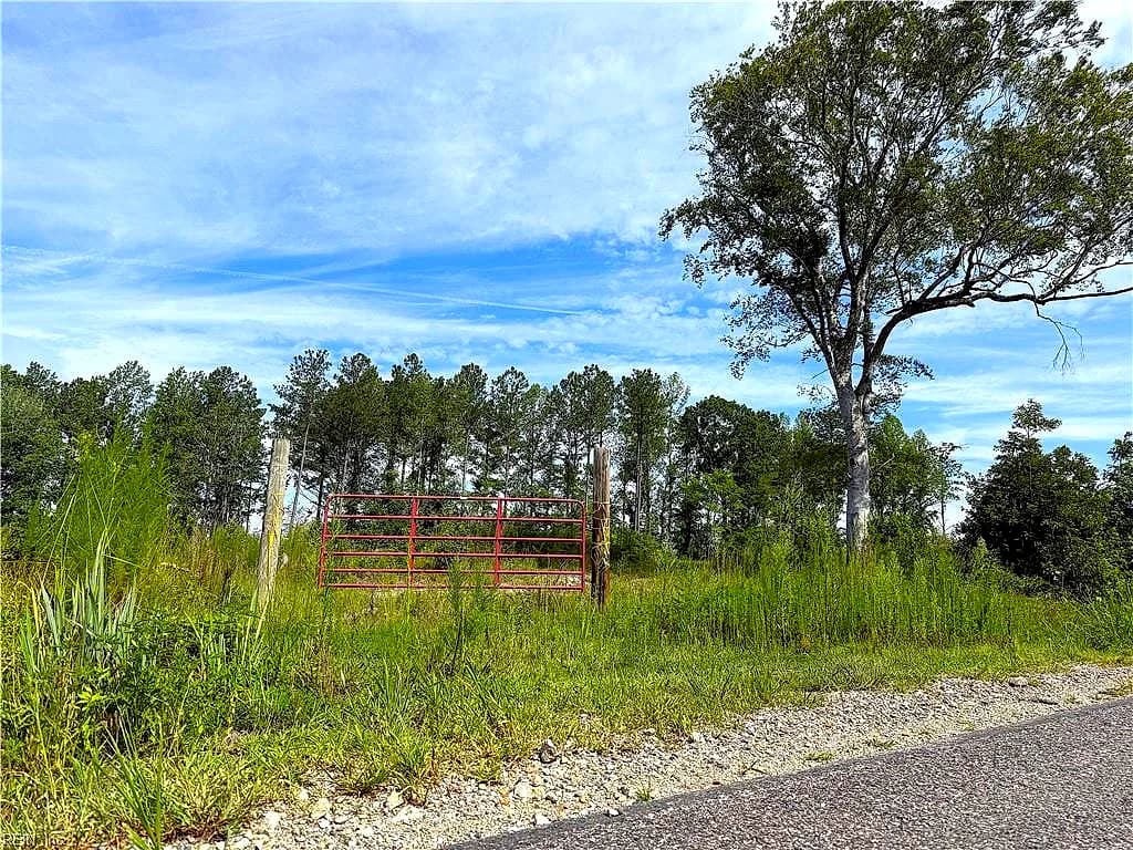 19.2Ac Hollybush RD, DENDRON VA 23839 thumb 6