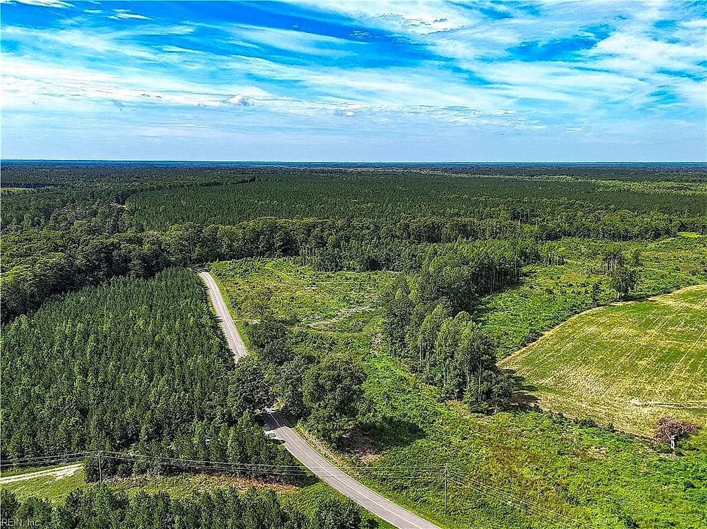 19.2Ac Hollybush RD, DENDRON VA 23839 thumb 7