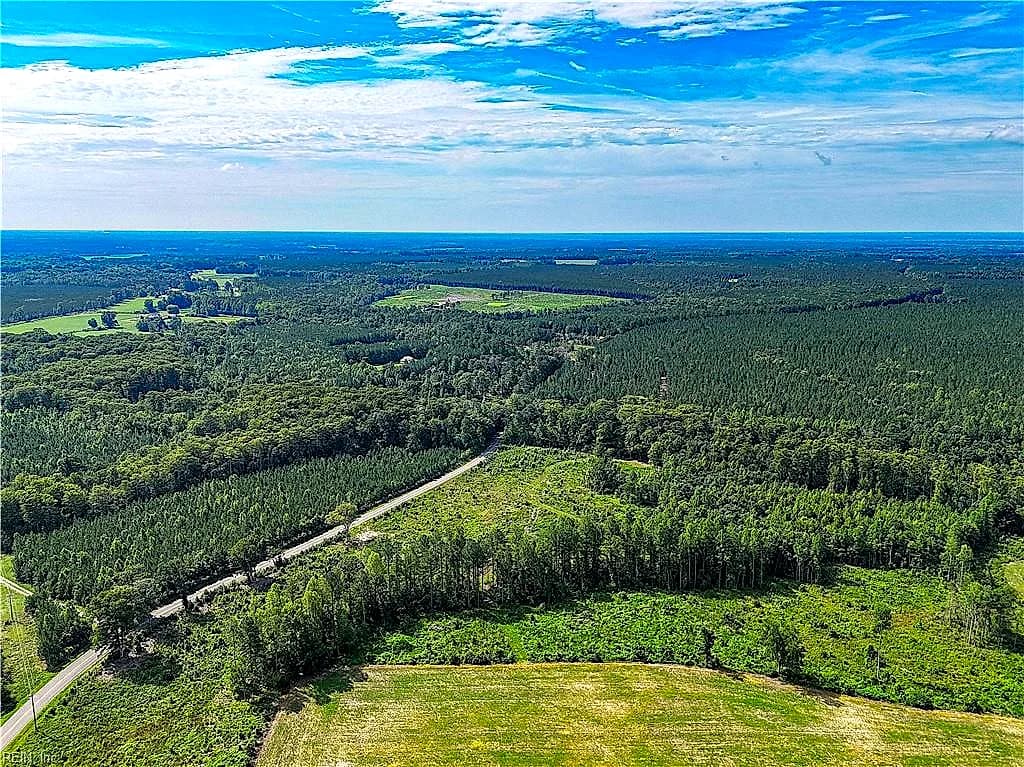 19.2Ac Hollybush RD, DENDRON VA 23839 thumb 9